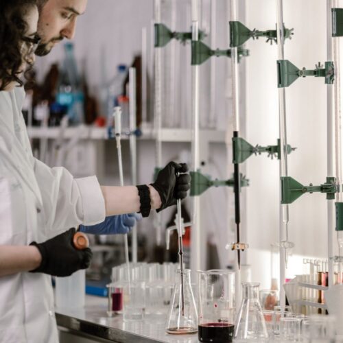 Wissenschaftliche Medienpositionierung für Longevity Labs+